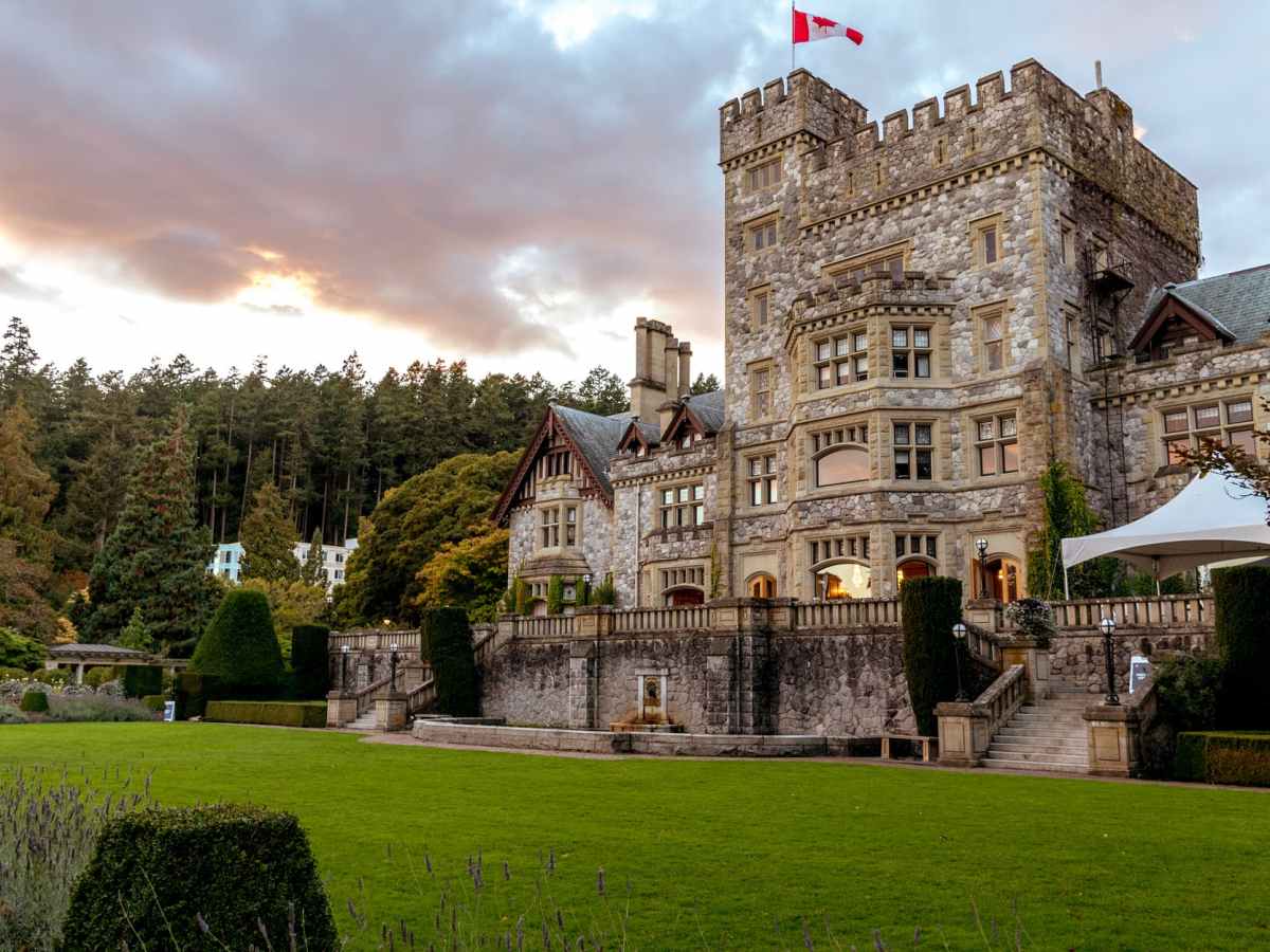 Net flix | 不動産ファミリー～高級物件はお任せあれ！～