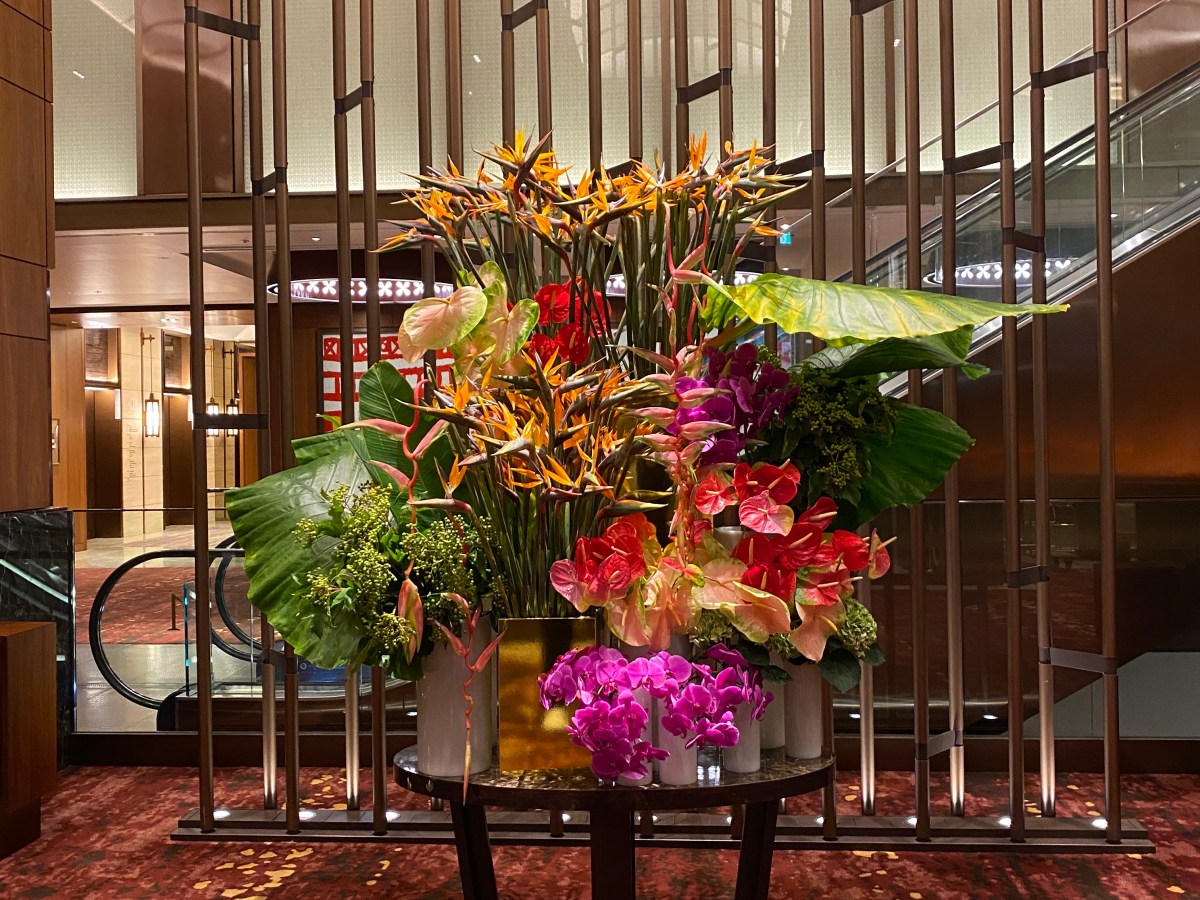 バースデーディナーは鉄板焼き｜東京會舘